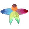 Buy cheap Polyester Material Autumn Kite 120~180cm Wing Span For Kids Adults Playing from wholesalers