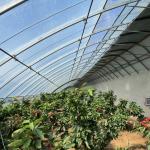 Initial Payment Commercial Greenhouse for Sunlight Flower and Vegetable
