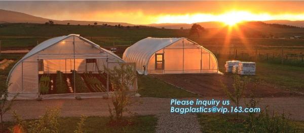 Garden tomato green house greenhouse film 3 layer eva agriculture clear plastic