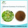 Buy cheap Low Price Siberian Cocklebur Fruit Extract Powder 5:1 10:1 from wholesalers