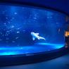 Buy cheap Uv Resistant 6mm Aquarium Transparent Perspex Acrylic Sheet Cut To Size from wholesalers