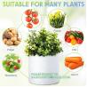 Buy cheap Nursery Growing Bags Large, 7.8x8.6 inches Biodegradable Fabric Seedling Grow Bag, Seed Starting Pots Pouches from wholesalers