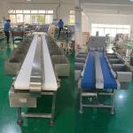 500 - 12000BPH Chicken Weight Grader Machine For Slaughterhouse Production