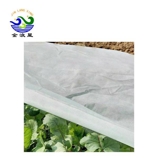 Quality Polypropylene Spunbond Agriculture Non Woven Fabric for sale
