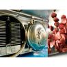 Buy cheap Commercial Food Vegetable Freeze Dryer Air Cooling from wholesalers