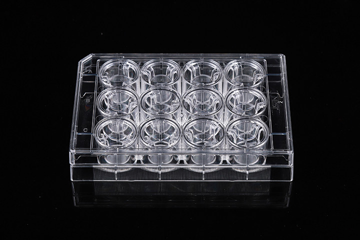 Laboratory Experiment Well Volume 2.6ml Cell Insert