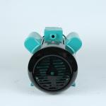 1-2.2KW Single Phase Asynchronous Motor 1400RPM High Speed Water Pump Motor