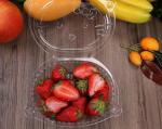 disposable Frozen Food PET PP Plastic Packing Trays For Meat,Suchi Party Food