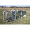 Buy cheap Heavy Duty Portable Cattle Panels Galvanized Sheep Three Way Draft Race from wholesalers