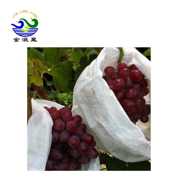 Buy cheap Pp Non Woven Anti Insect 35gsm Fruit Protection Net Bags from wholesalers