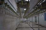 6m Poultry Farming Equipment The Beheaded Chicken Feet Cooling Machine
