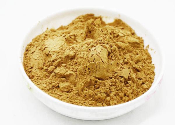 Health Broccoli Sprout Extract Powder , Broccoli Sprout Powder 1 - 6% Sulforapha