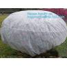 Buy cheap Anti UV sunshade agricultural nonwoven fabric, Agricultural pp spunbond nonwoven fabric /agriculture ground cover for pl from wholesalers