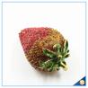 Buy cheap Small Starwberry with Rhinestone jewelry trinket box wholesale Delicate Wedding Gifts from wholesalers