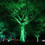 IP65 6W Outdoor Aluminumin Waterproof Led Spike Tree Flood Light Adjust