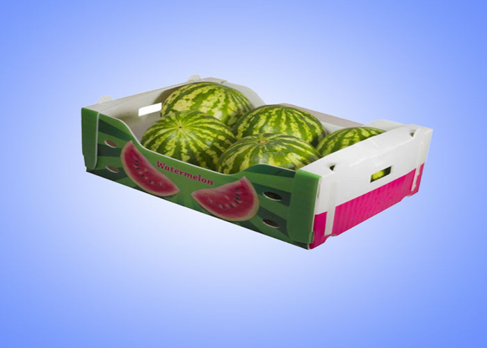 OEM ODM Corrugated Plastic Packaging Boxes Cold Storage