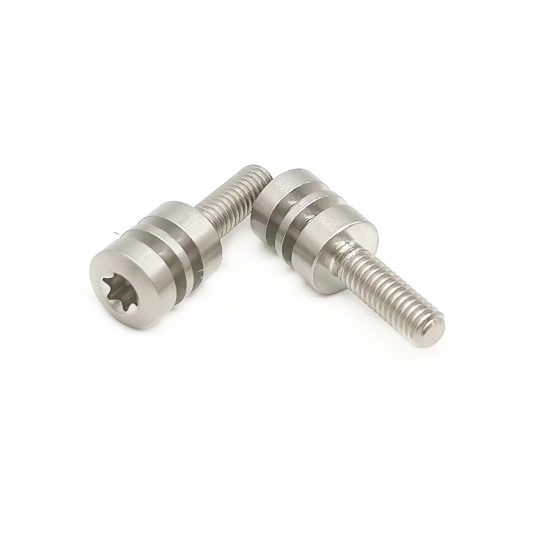 Factory Direct Sales Of 304 Non-Standard Bolts And Glue-Coated Screws Support Customized Drawings And Samples.
