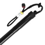 Convenient Access Automatic Sliding Gate Opener for Ford Electric Liftgate