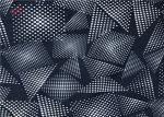 Printed Lycra Swimming Fabric 90% Polyester 10% Spandex Fabric 40D + 40D