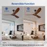 Buy cheap 3 Blades Modern LED Ceiling Fans 60 Inch Outdoor Indoor Ceiling Fan Without Light from wholesalers