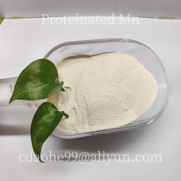 Amino Acid Chelate Proteinate Proteinate Manganese Powder 24-Month Shelflife