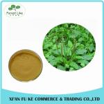 Lowest Price Best Quality Plantain Extract for Skin and Cancer