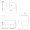 Buy cheap Siphon Flush 1.1 Gpf Elongated Round One Piece Toilets D707×W370×H715mm from wholesalers