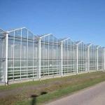 Agricultural Transparent Venlo Type Greenhouse For Fruits Flowers