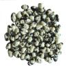 Buy cheap Leisure Green Pea Snack Uniform Size Wheat Flour Black Soy Bean from wholesalers
