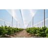 Buy cheap 25 * 50 Mesh Insect Protection Netting High Tensile Strength For Pest Control from wholesalers