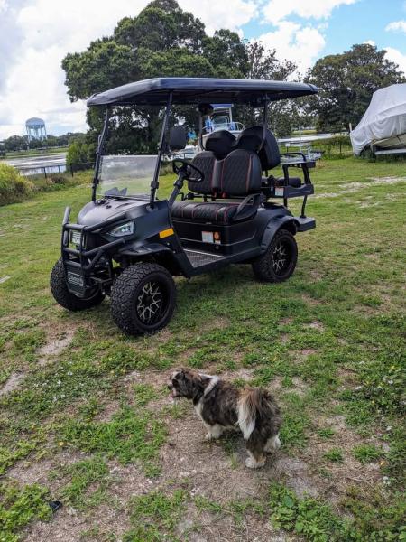 Buy cheap 4 Seats Customize Electric Golf Cart 4 Passengers Off Road Golf Buggy from wholesalers