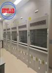 Wall Mounted Automatic Shutoff Ducted Fume Hood With Regular Maintenance 400W