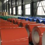 EN 10346 Ral 5005 Ppgi Galvanized Steel Coil Prepainted Color Coated