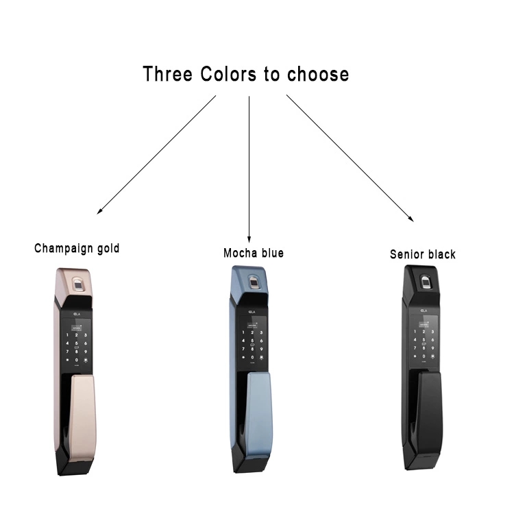 Household Intelligent Biometric Electronic Door Lock , Fingerprint Password Door Lock