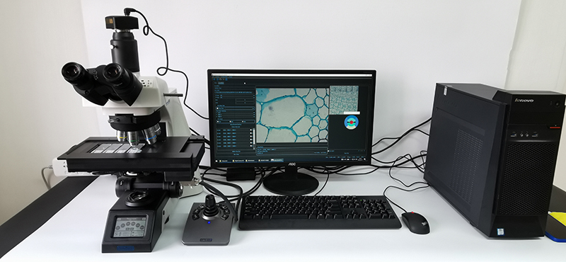 Research Scientific Full Auto Motorized Opto-Edu Binocular Biological Microscope A12.1095