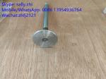YUCHAI exhaust valve 4110000560144, yuchai engine spare parts for wheel loader