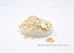 No Smell Dried Wheat Gluten Natural Wheat Flavour 9.0 % Max Moisture
