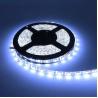 Buy cheap No UV And IR Radiation RGBW LED Strip High CRI 95-99 12V-24V DC 5-Year Warranty from wholesalers