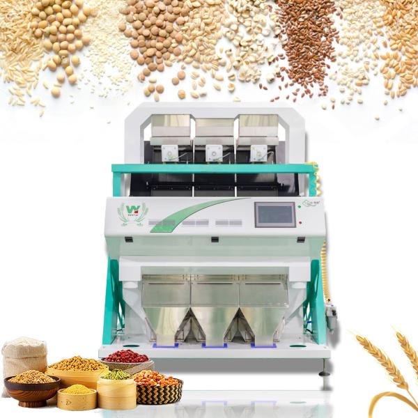 Buy cheap 99.99% High Accuracy Beans Color Sorter Purple Leather from wholesalers