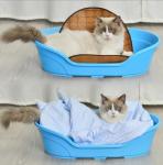Xl Plastic Dog Bed Kennel For Pet Sleep and Wash Dual Use