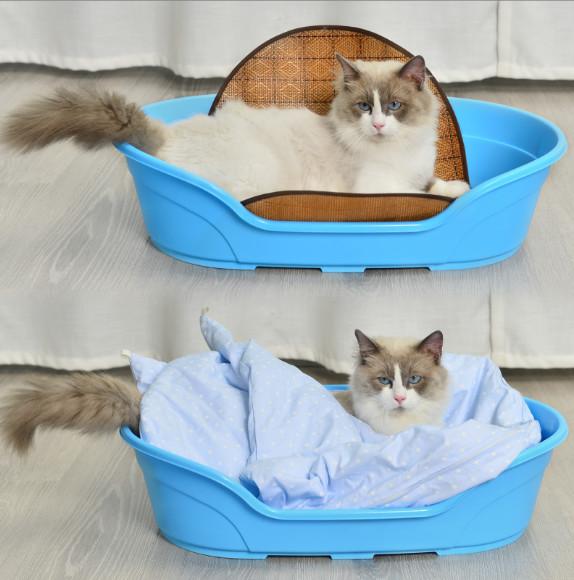 Buy cheap Xl Plastic Dog Bed Kennel For Pet Sleep and Wash Dual Use from wholesalers