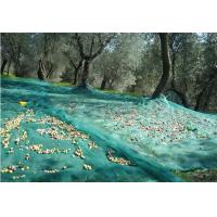 Buy cheap Wholesale Only! Olive Collect Net,Knitted Net, Anti Hail Net, 50-120gr/sqm product
