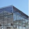 Buy cheap Tempered Glass Covered Agricultural Greenhouse for Growing Vegetables in Holland Frame from wholesalers