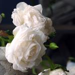 French oil painting simulates the living room dining table, with rose and rose