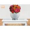Buy cheap Decorative Modern Footed Fiberglass Flower Pots With Silver Leaf Finish from wholesalers