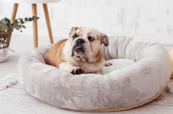 Buy cheap Calming Dog Bed 80cm 100cm Donut Cat Bed Covered Dog Bed Anxiety Dog Mattress Bed from wholesalers