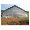 Buy cheap 150/200micro Film Covered Tunnel Greenhouse For Hydroponic Tomato Growing from wholesalers