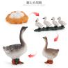 Buy cheap Goose Life Cycle Figure Model Toy For Boys Girls Kids from wholesalers