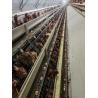 Buy cheap U Type Cage 4 floors Poultry Manure Removal System 3-6mm Diameter Wire from wholesalers