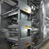 Buy cheap H Type Poultry Battery Cages Automatic Egg Layer Chicken Farm Laying Hens from wholesalers
